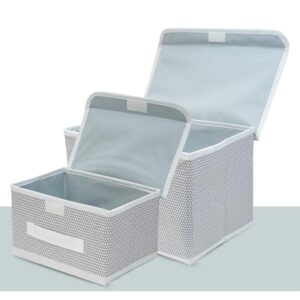 foldable-storage-box-set-pack-of-2-non-woven-bins-with-lid-for-wardrobe-clothes-and-toy-organization-small-large-grey-607100.jpg